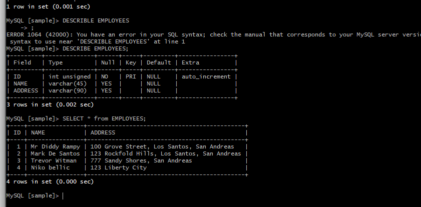 Web Application Testing