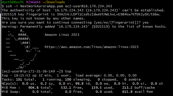 Web Application Development