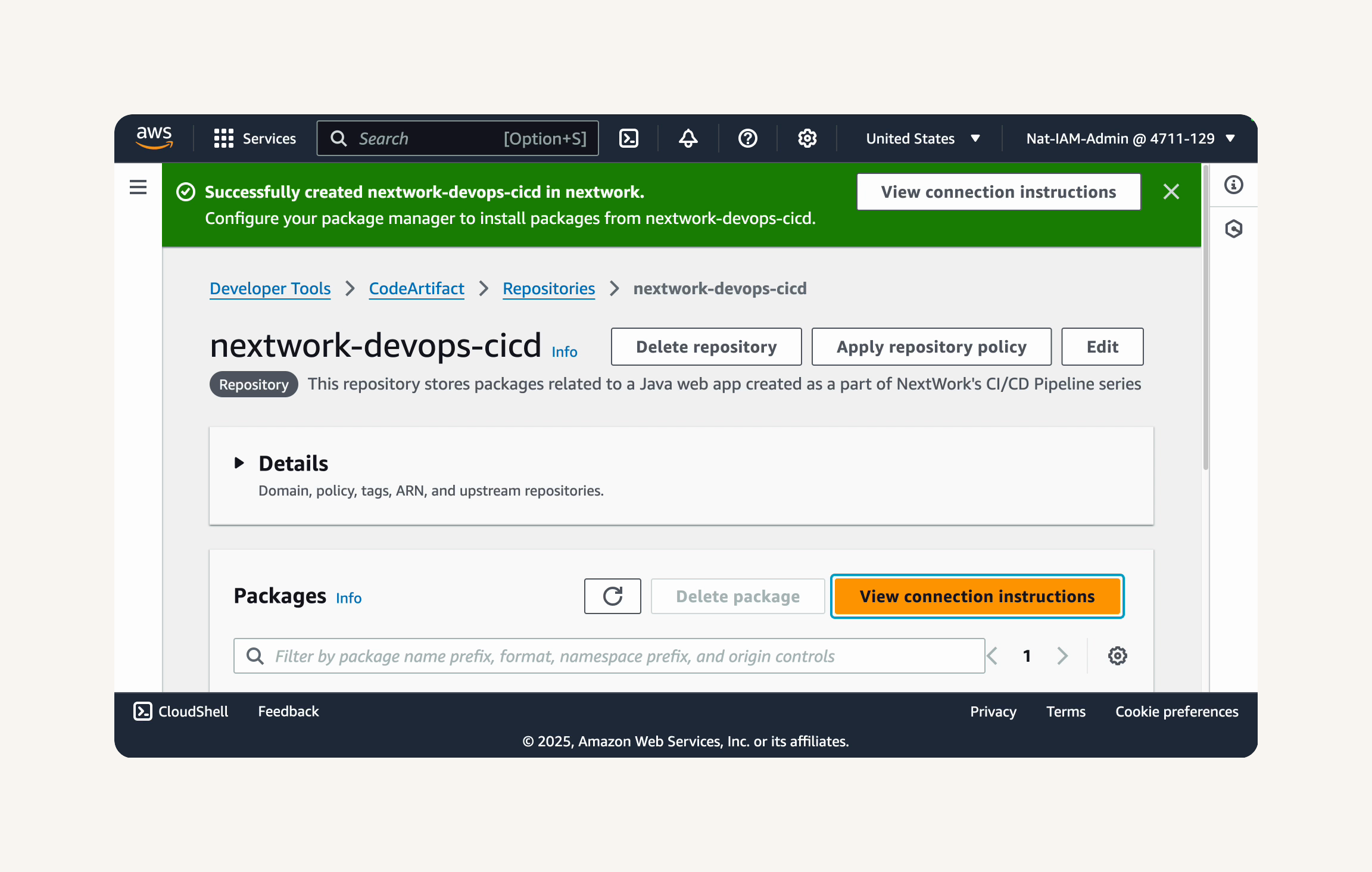 CodeArtifact repository page with View connection instructions button highlighted.