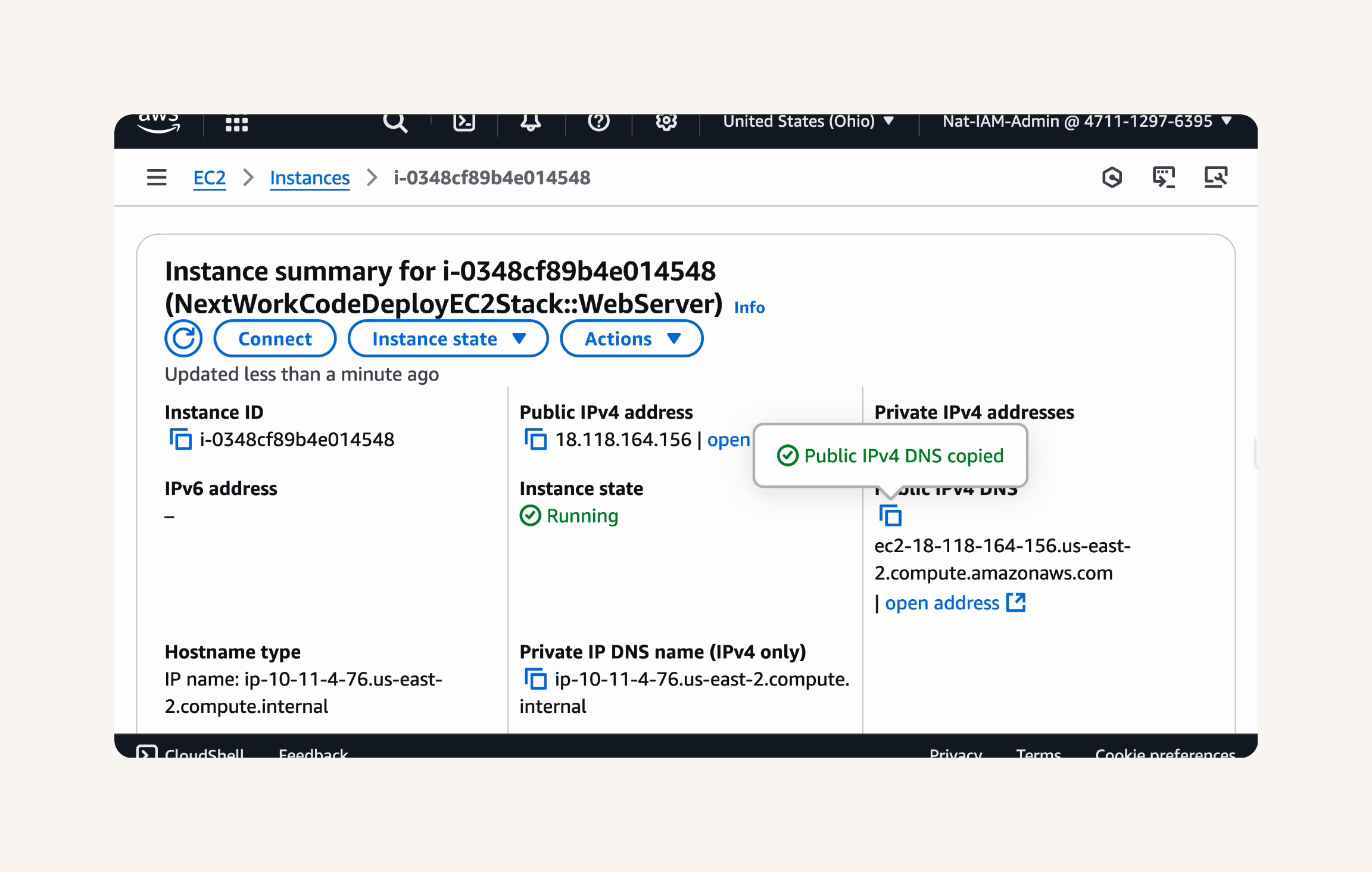 Copy Public IPv4 DNS.